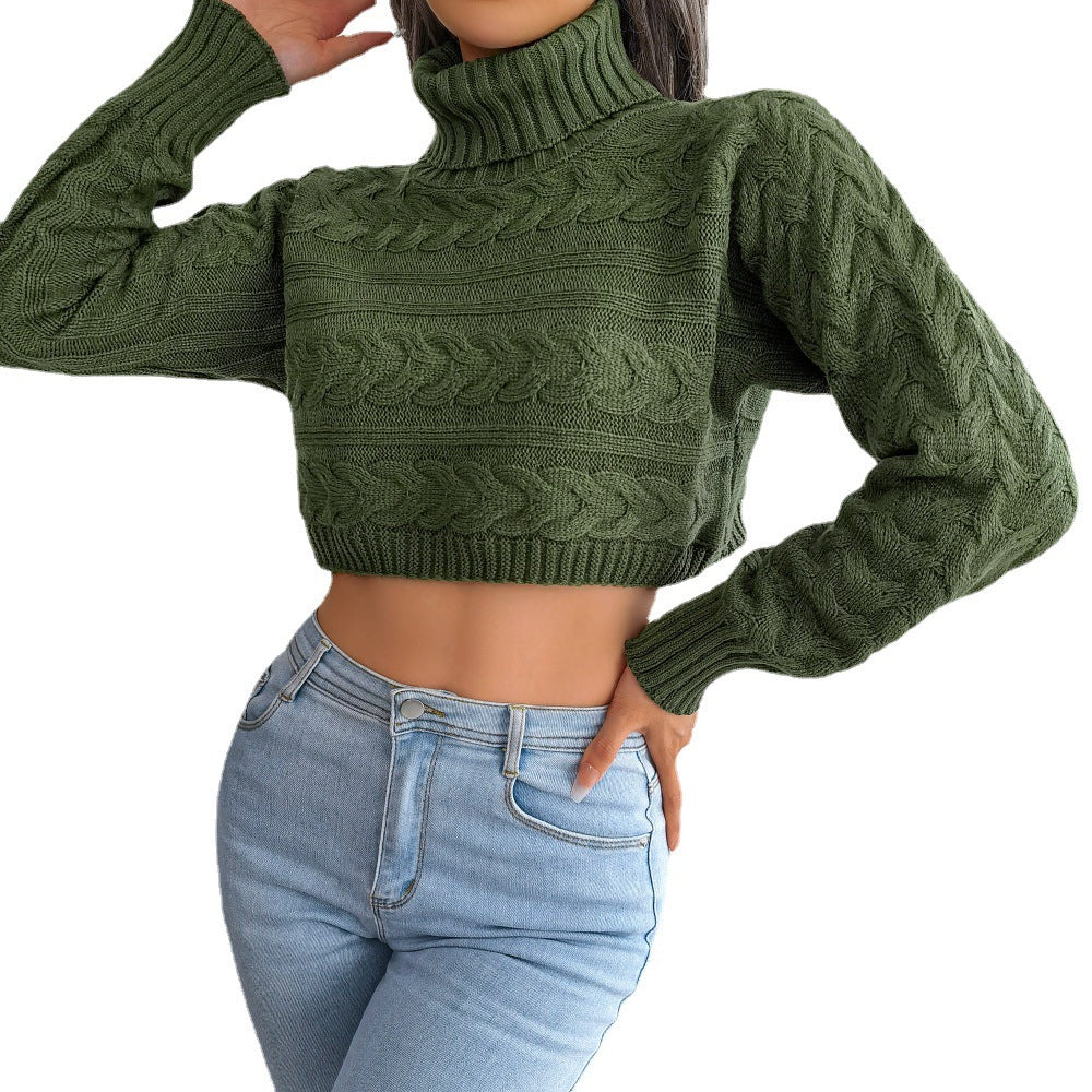 Women's Casual Fried Dough Twist Long Sleeve High Neck Knitting Sweater